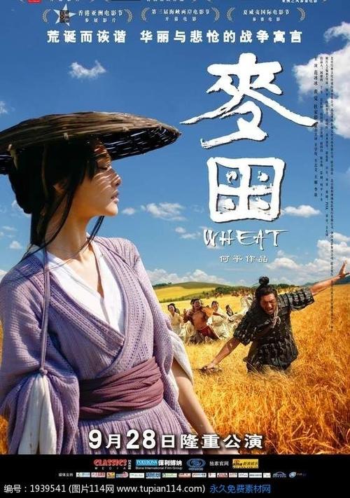 美国apple怎么填